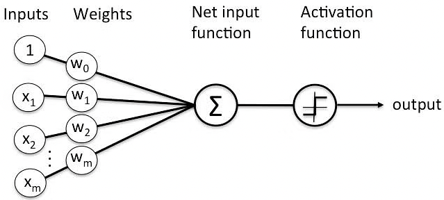  perceptron in Javascript schema